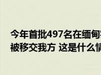 今年首批497名在缅甸实施跨境电信网络诈骗的犯罪嫌疑人被移交我方 这是什么情况？