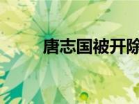 唐志国被开除党籍 这是什么情况？