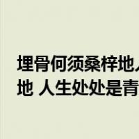 埋骨何须桑梓地人生无处不青山是谁写的诗（埋骨何须桑梓地 人生处处是青山啥意思）