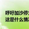 呼吁加沙停火，全美多地高校爆发反战示威 这是什么情况？