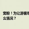 宠粉！为让游客观赏极光，阿勒泰宣布晚上“关灯” 这是什么情况？