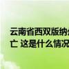 云南省西双版纳州基诺山乡一茶厂发生土方坍塌，致3人死亡 这是什么情况？