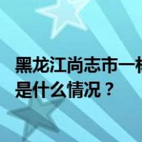 黑龙江尚志市一林场疑似“盗伐”，官方成立联合调查组 这是什么情况？